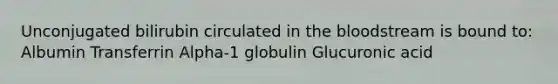 Unconjugated bilirubin circulated in the bloodstream is bound to: Albumin Transferrin Alpha-1 globulin Glucuronic acid