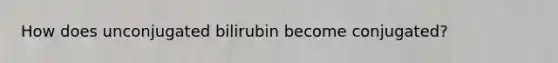 How does unconjugated bilirubin become conjugated?