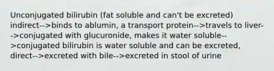 Unconjugated bilirubin (fat soluble and can't be excreted) indirect-->binds to ablumin, a transport protein-->travels to liver-->conjugated with glucuronide, makes it water soluble-->conjugated bilirubin is water soluble and can be excreted, direct-->excreted with bile-->excreted in stool of urine