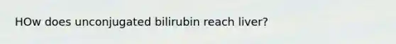 HOw does unconjugated bilirubin reach liver?