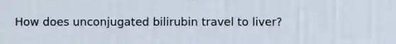 How does unconjugated bilirubin travel to liver?