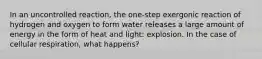 In an uncontrolled reaction, the one-step exergonic reaction of hydrogen and oxygen to form water releases a large amount of energy in the form of heat and light: explosion. In the case of cellular respiration, what happens?