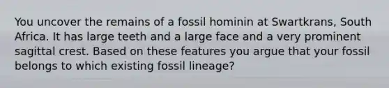 You uncover the remains of a fossil hominin at Swartkrans, South Africa. It has large teeth and a large face and a very prominent sagittal crest. Based on these features you argue that your fossil belongs to which existing fossil lineage?