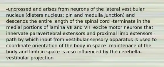 -uncrossed and arises from neurons of the lateral vestibular nucleus (dieters nucleus; pin and medulla junction) and descends the entire length of the spinal cord -terminate in the medial portions of lamina VII and VII -excite motor neurons that innervate paravertebral extensors and proximal limb extensors -path by which input from vestibular sensory apparatus is used to coordinate orientation of the body in space -maintenace of the body and limb in space is also influenced by the cerebella-vestibular projection