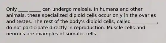 Only ____ _____ can undergo meiosis. In humans and other animals, these specialized diploid cells occur only in the ovaries and testes. The rest of the body's diploid cells, called _____ _____, do not participate directly in reproduction. Muscle cells and neurons are examples of somatic cells.