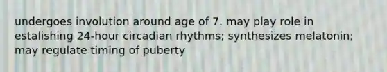 undergoes involution around age of 7. may play role in estalishing 24-hour circadian rhythms; synthesizes melatonin; may regulate timing of puberty