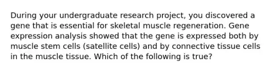 During your undergraduate research project, you discovered a gene that is essential for skeletal muscle regeneration. Gene expression analysis showed that the gene is expressed both by muscle stem cells (satellite cells) and by connective tissue cells in the muscle tissue. Which of the following is true?