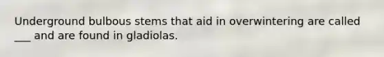 Underground bulbous stems that aid in overwintering are called ___ and are found in gladiolas.
