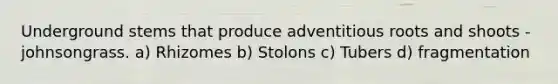 Underground stems that produce adventitious roots and shoots - johnsongrass. a) Rhizomes b) Stolons c) Tubers d) fragmentation