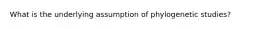 What is the underlying assumption of phylogenetic studies?