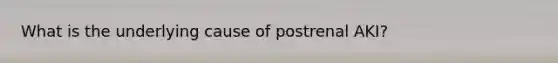 What is the underlying cause of postrenal AKI?