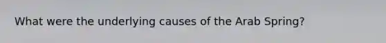What were the underlying causes of the Arab Spring?