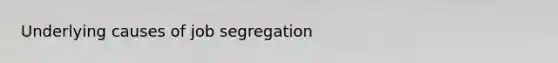 Underlying causes of job segregation