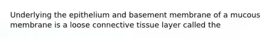 Underlying the epithelium and basement membrane of a mucous membrane is a loose connective tissue layer called the