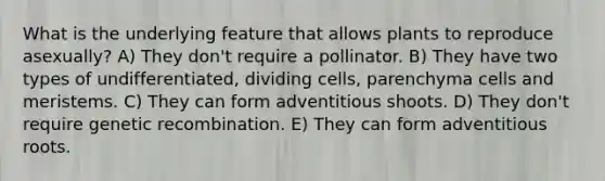 What is the underlying feature that allows plants to reproduce asexually? A) They don't require a pollinator. B) They have two types of undifferentiated, dividing cells, parenchyma cells and meristems. C) They can form adventitious shoots. D) They don't require genetic recombination. E) They can form adventitious roots.