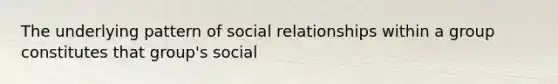 The underlying pattern of social relationships within a group constitutes that group's social