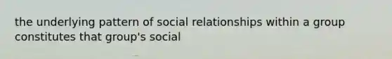 the underlying pattern of social relationships within a group constitutes that group's social