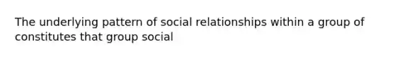 The underlying pattern of social relationships within a group of constitutes that group social