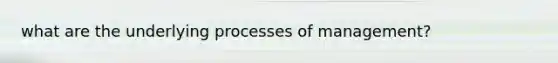 what are the underlying processes of management?