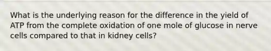 What is the underlying reason for the difference in the yield of ATP from the complete oxidation of one mole of glucose in nerve cells compared to that in kidney cells?