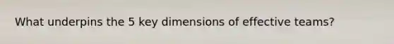 What underpins the 5 key dimensions of effective teams?
