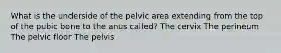 What is the underside of the pelvic area extending from the top of the pubic bone to the anus called? The cervix The perineum The pelvic floor The pelvis