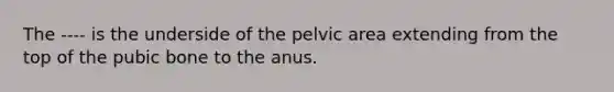 The ---- is the underside of the pelvic area extending from the top of the pubic bone to the anus.