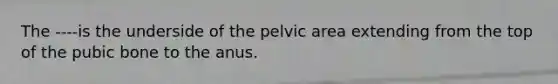 The ----is the underside of the pelvic area extending from the top of the pubic bone to the anus.