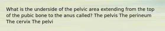 What is the underside of the pelvic area extending from the top of the pubic bone to the anus called? The pelvis The perineum The cervix The pelvi