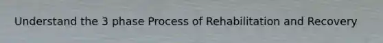 Understand the 3 phase Process of Rehabilitation and Recovery