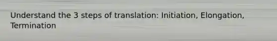 Understand the 3 steps of translation: Initiation, Elongation, Termination