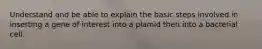 Understand and be able to explain the basic steps involved in inserting a gene of interest into a plamid then into a bacterial cell.