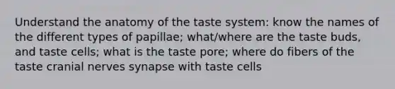 Understand the anatomy of the taste system: know the names of the different types of papillae; what/where are the taste buds, and taste cells; what is the taste pore; where do fibers of the taste cranial nerves synapse with taste cells