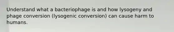 Understand what a bacteriophage is and how lysogeny and phage conversion (lysogenic conversion) can cause harm to humans.