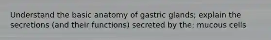 Understand the basic anatomy of gastric glands; explain the secretions (and their functions) secreted by the: mucous cells