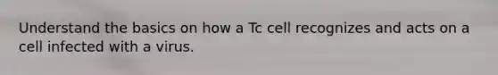 Understand the basics on how a Tc cell recognizes and acts on a cell infected with a virus.