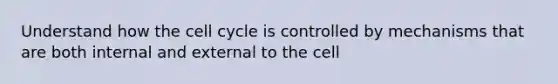 Understand how the cell cycle is controlled by mechanisms that are both internal and external to the cell