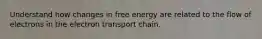 Understand how changes in free energy are related to the flow of electrons in the electron transport chain.