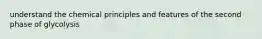 understand the chemical principles and features of the second phase of glycolysis