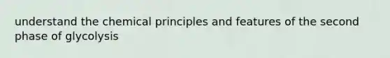 understand the chemical principles and features of the second phase of glycolysis