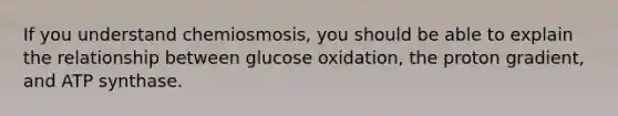 If you understand chemiosmosis, you should be able to explain the relationship between glucose oxidation, the proton gradient, and ATP synthase.