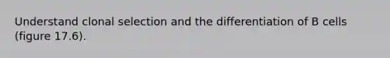 Understand clonal selection and the differentiation of B cells (figure 17.6).