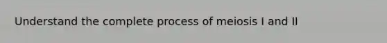 Understand the complete process of meiosis I and II