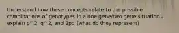 Understand how these concepts relate to the possible combinations of genotypes in a one gene/two gene situation - explain p^2, q^2, and 2pq (what do they represent)