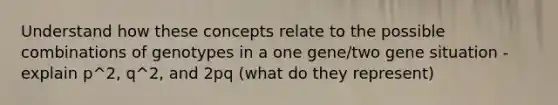 Understand how these concepts relate to the possible combinations of genotypes in a one gene/two gene situation - explain p^2, q^2, and 2pq (what do they represent)