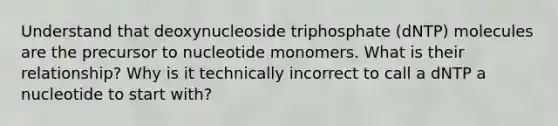 Understand that deoxynucleoside triphosphate (dNTP) molecules are the precursor to nucleotide monomers. What is their relationship? Why is it technically incorrect to call a dNTP a nucleotide to start with?