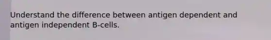 Understand the difference between antigen dependent and antigen independent B-cells.