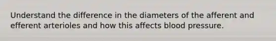 Understand the difference in the diameters of the afferent and efferent arterioles and how this affects blood pressure.