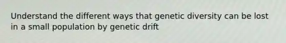 Understand the different ways that genetic diversity can be lost in a small population by genetic drift