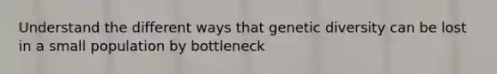 Understand the different ways that genetic diversity can be lost in a small population by bottleneck